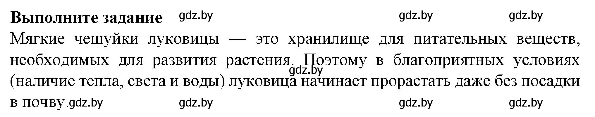 Решение  задание (страница 44) гдз по биологии 7 класс Лисов, тетрадь для лабораторных и практических работ