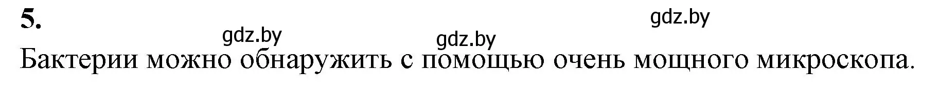 Решение номер 5 (страница 7) гдз по биологии 7 класс Лисов, рабочая тетрадь