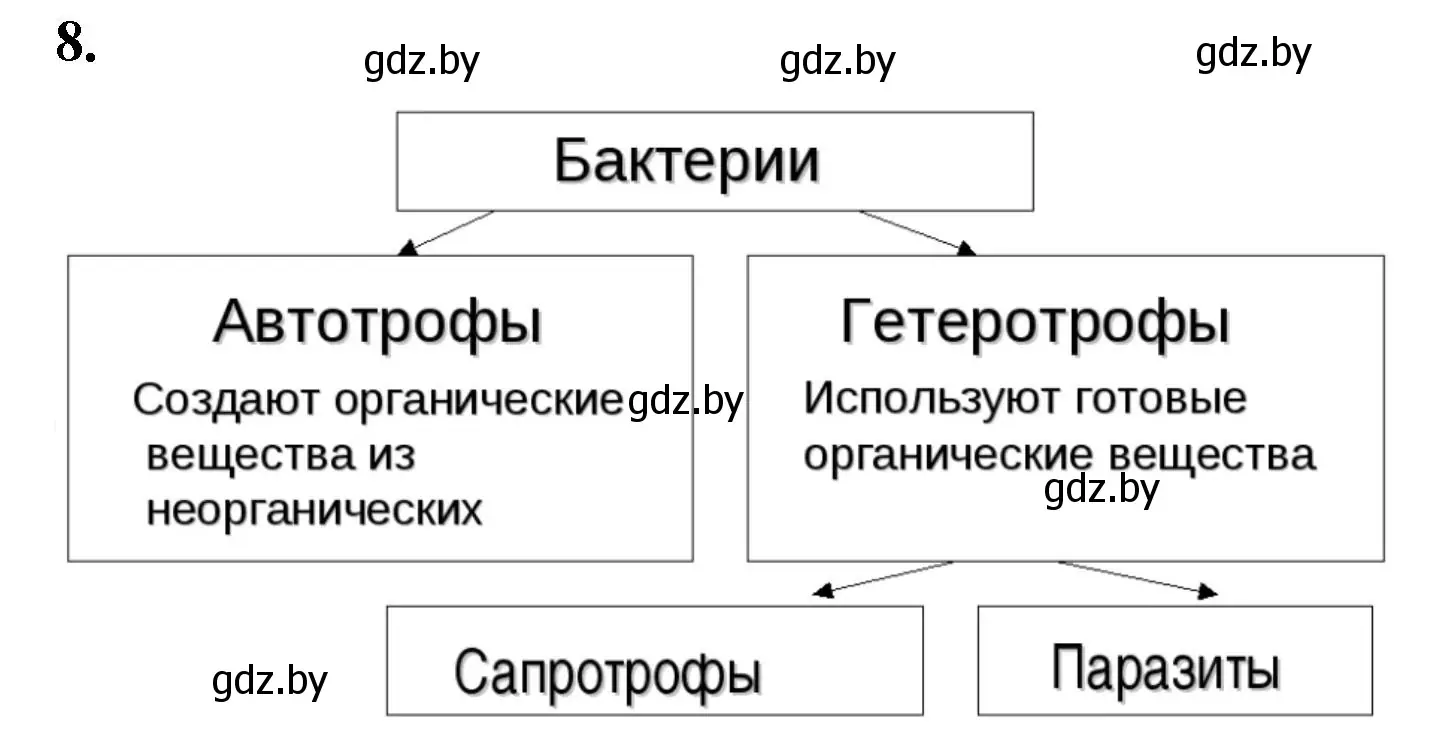 Решение номер 8 (страница 7) гдз по биологии 7 класс Лисов, рабочая тетрадь