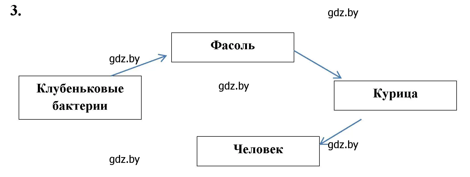 Решение номер 3 (страница 9) гдз по биологии 7 класс Лисов, рабочая тетрадь