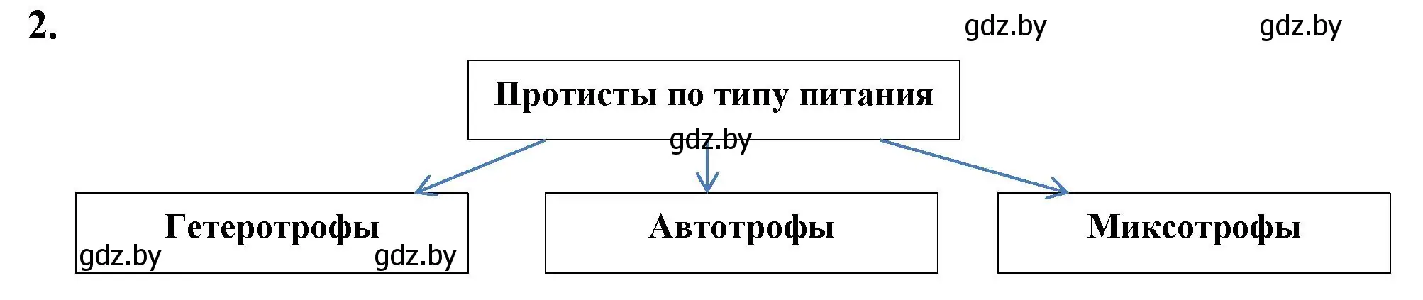 Решение номер 2 (страница 15) гдз по биологии 7 класс Лисов, рабочая тетрадь