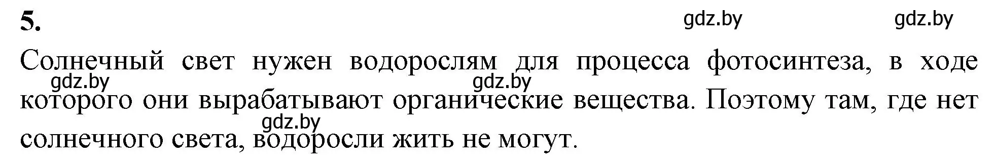 Решение номер 5 (страница 19) гдз по биологии 7 класс Лисов, рабочая тетрадь