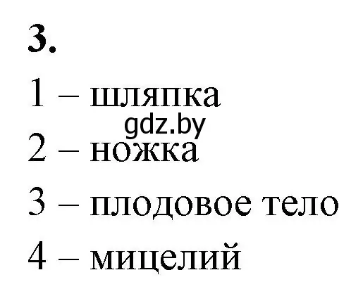 Решение номер 3 (страница 26) гдз по биологии 7 класс Лисов, рабочая тетрадь