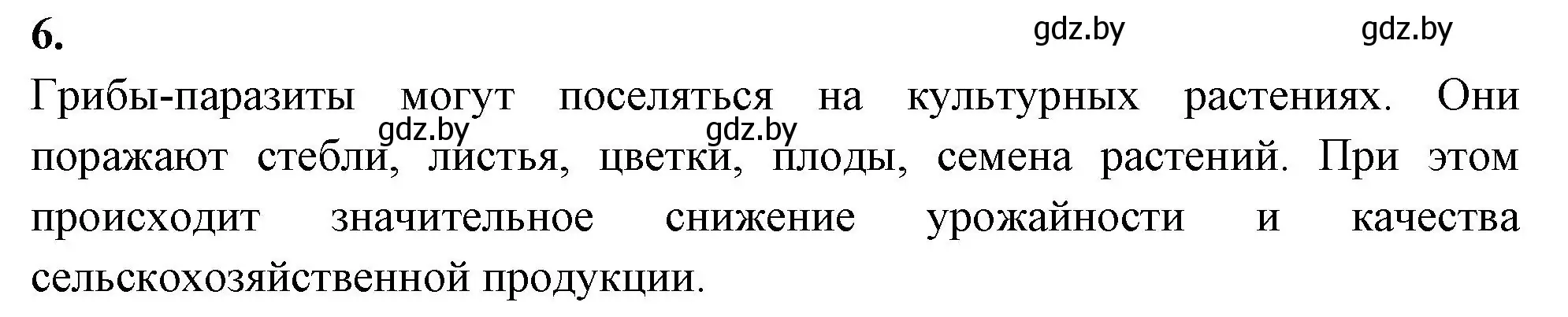 Решение номер 6 (страница 31) гдз по биологии 7 класс Лисов, рабочая тетрадь