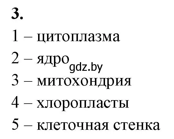 Решение номер 3 (страница 35) гдз по биологии 7 класс Лисов, рабочая тетрадь