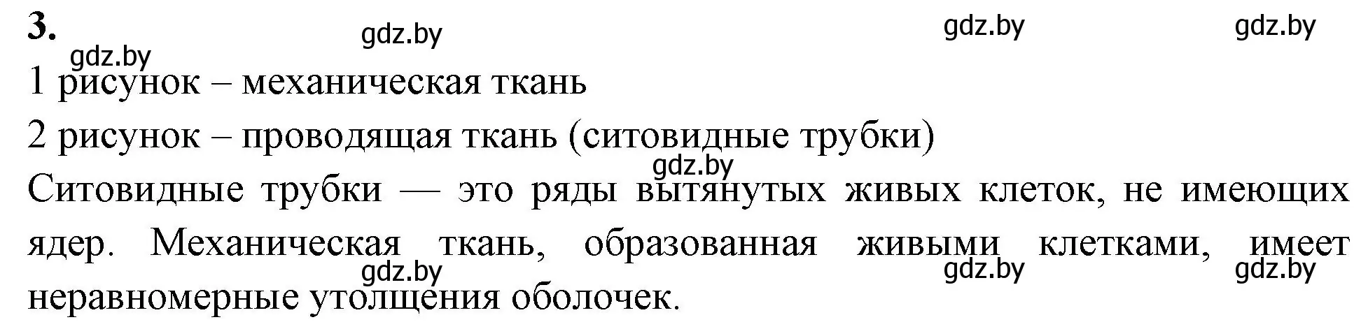 Решение номер 3 (страница 37) гдз по биологии 7 класс Лисов, рабочая тетрадь