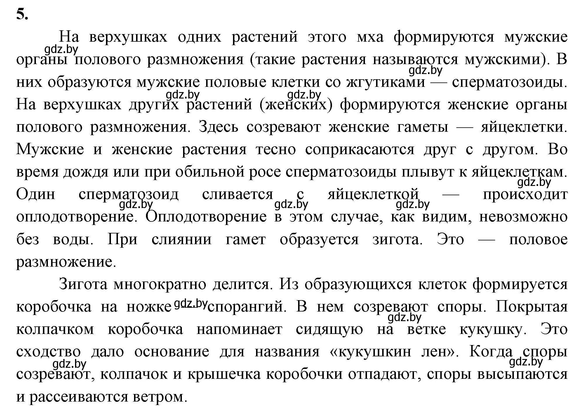 Решение номер 5 (страница 41) гдз по биологии 7 класс Лисов, рабочая тетрадь