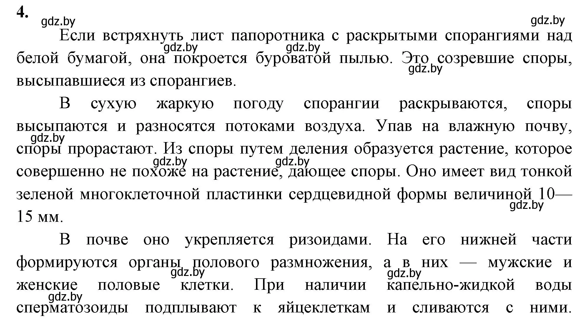 Решение номер 4 (страница 46) гдз по биологии 7 класс Лисов, рабочая тетрадь