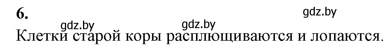 Решение номер 6 (страница 50) гдз по биологии 7 класс Лисов, рабочая тетрадь