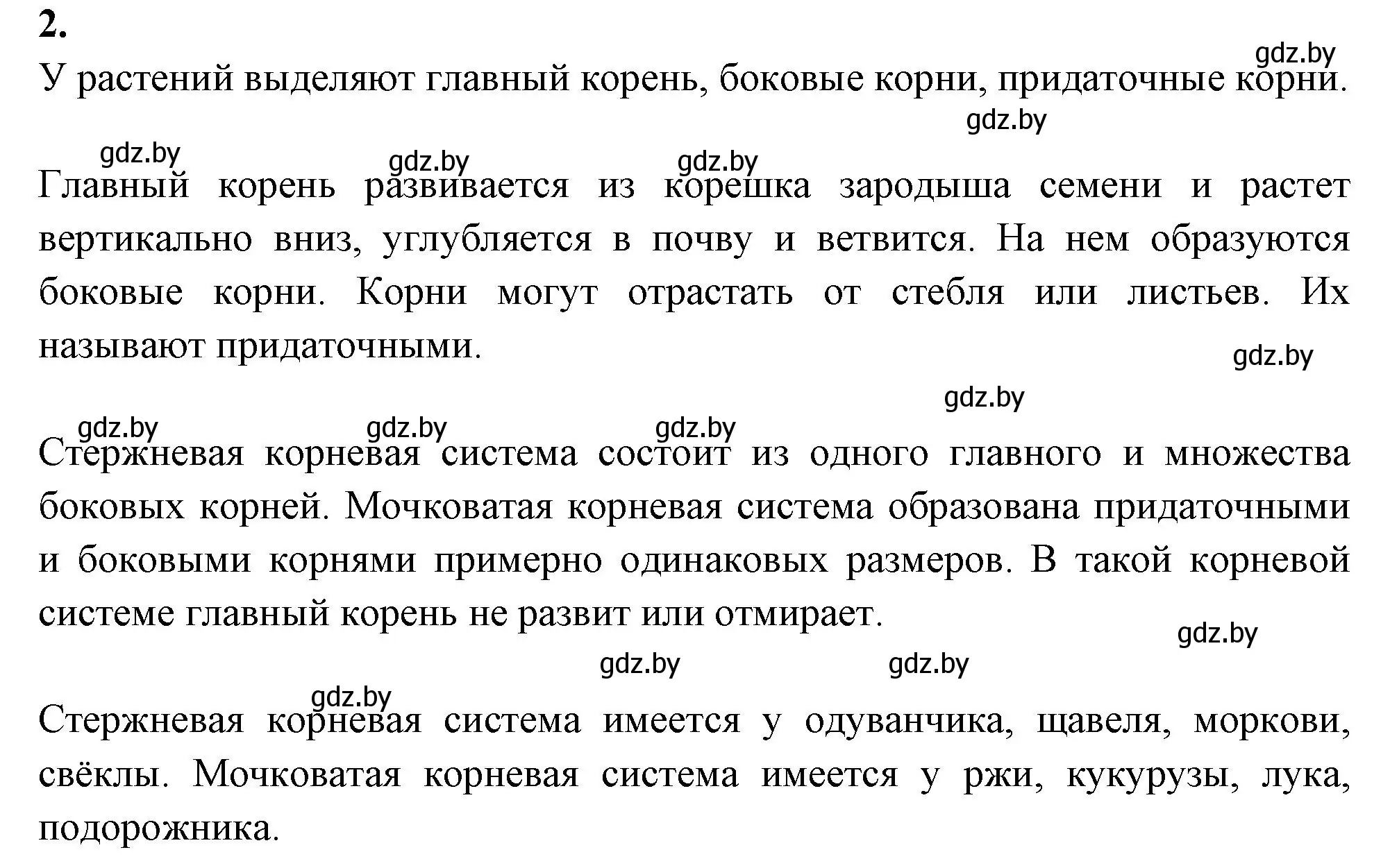 Решение номер 2 (страница 54) гдз по биологии 7 класс Лисов, рабочая тетрадь