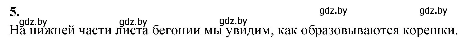 Решение номер 5 (страница 55) гдз по биологии 7 класс Лисов, рабочая тетрадь