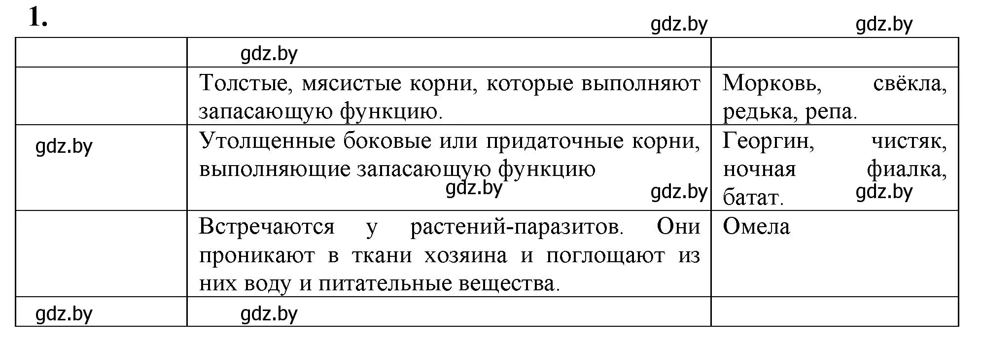 Решение номер 1 (страница 58) гдз по биологии 7 класс Лисов, рабочая тетрадь