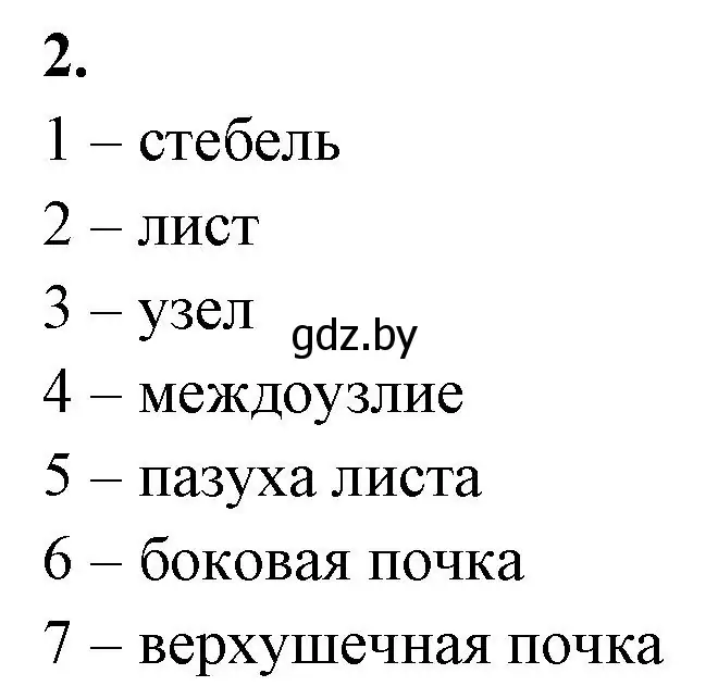 Решение номер 2 (страница 60) гдз по биологии 7 класс Лисов, рабочая тетрадь