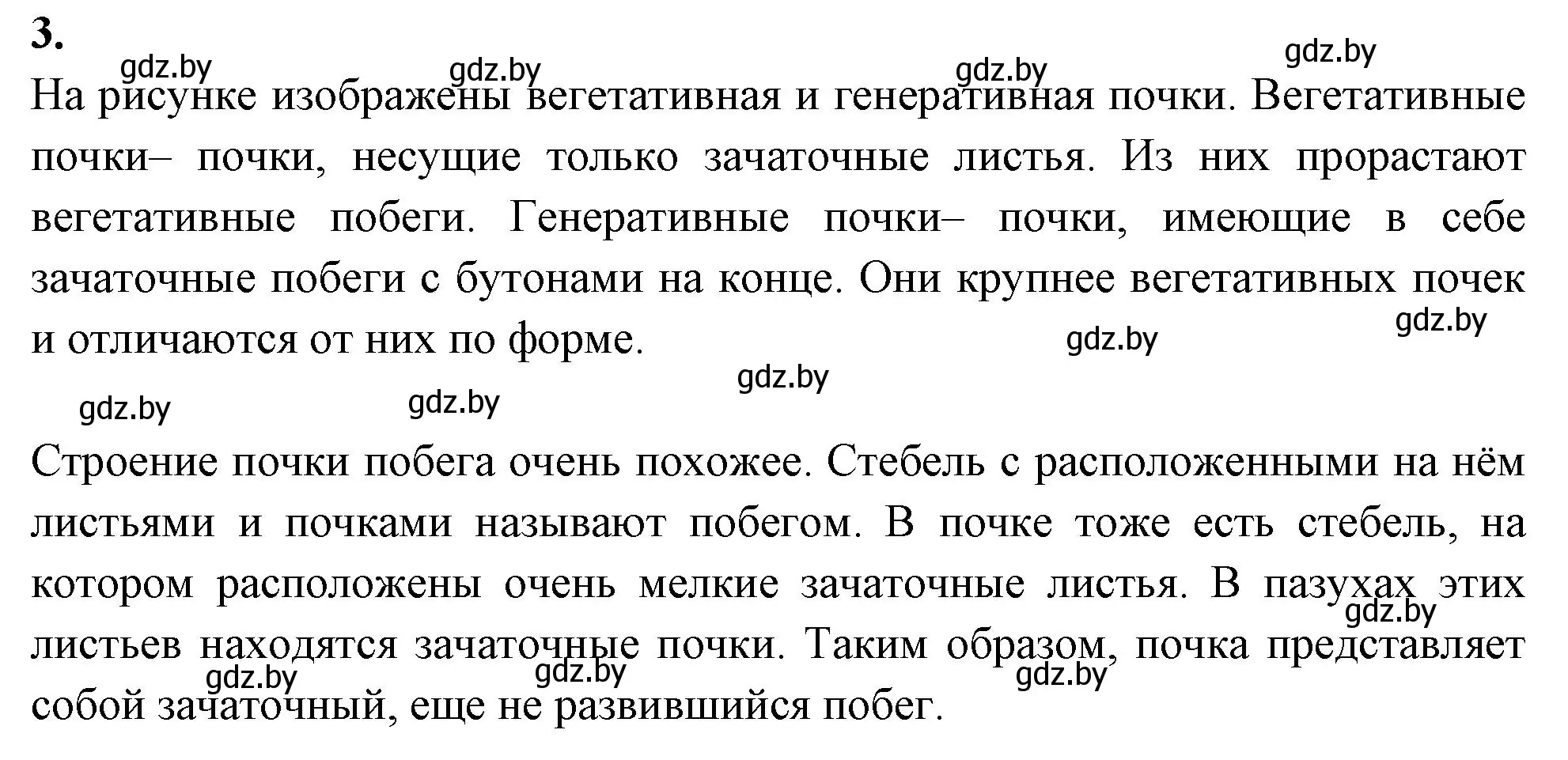 Решение номер 3 (страница 60) гдз по биологии 7 класс Лисов, рабочая тетрадь