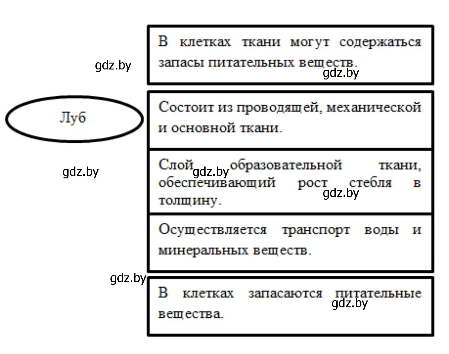 Решение номер 3 (страница 62) гдз по биологии 7 класс Лисов, рабочая тетрадь