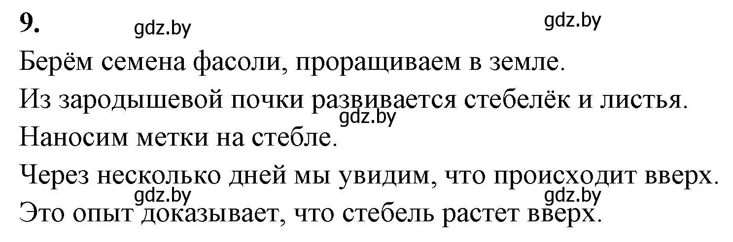 Решение номер 9 (страница 63) гдз по биологии 7 класс Лисов, рабочая тетрадь