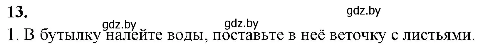 Решение номер 13 (страница 68) гдз по биологии 7 класс Лисов, рабочая тетрадь