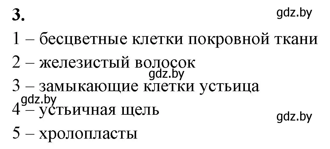 Решение номер 3 (страница 66) гдз по биологии 7 класс Лисов, рабочая тетрадь