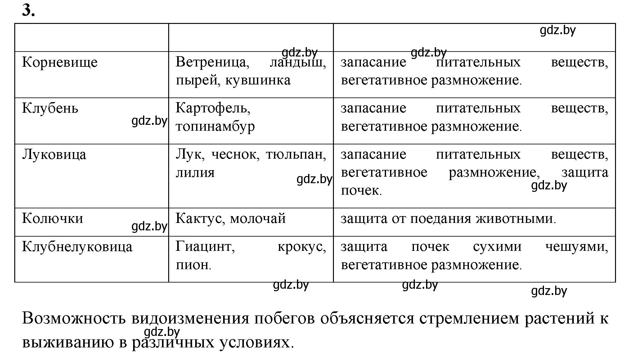 Решение номер 3 (страница 69) гдз по биологии 7 класс Лисов, рабочая тетрадь