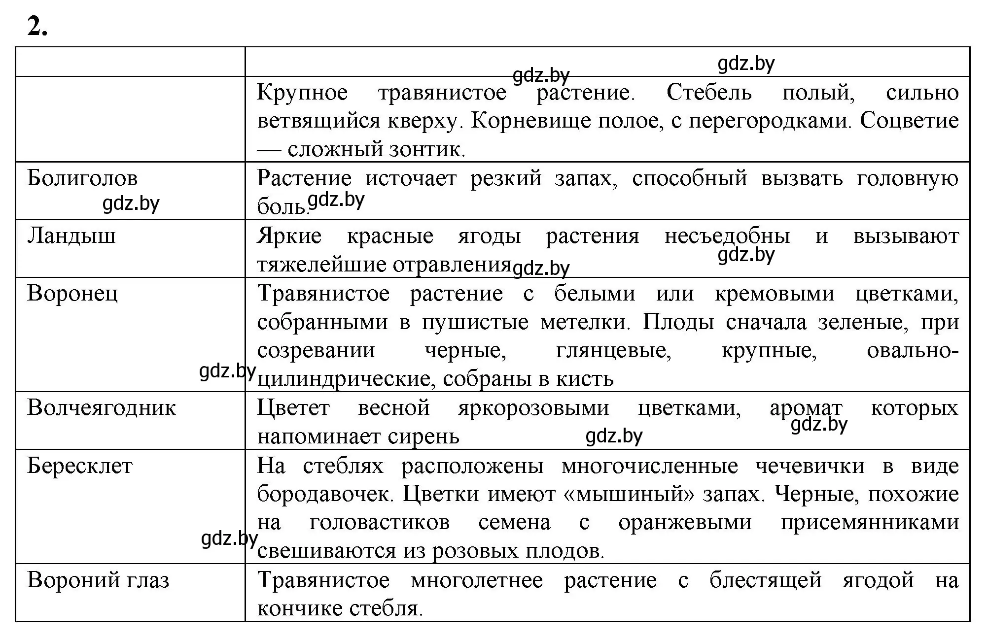 Решение номер 2 (страница 89) гдз по биологии 7 класс Лисов, рабочая тетрадь