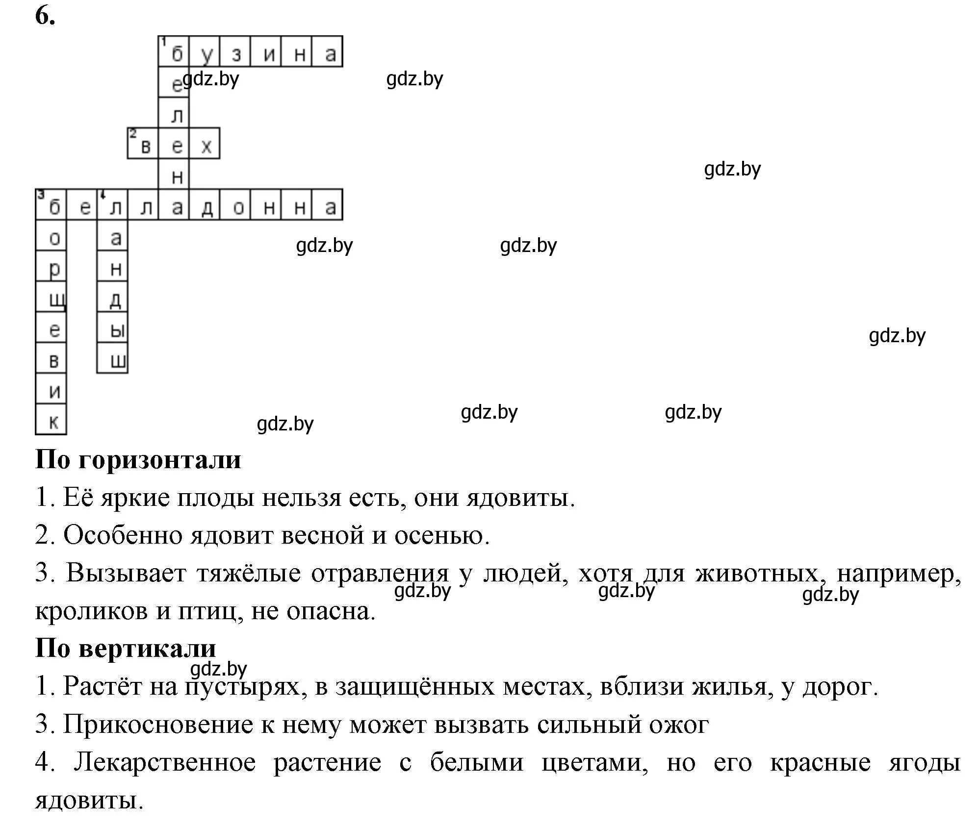 Решение номер 6 (страница 90) гдз по биологии 7 класс Лисов, рабочая тетрадь