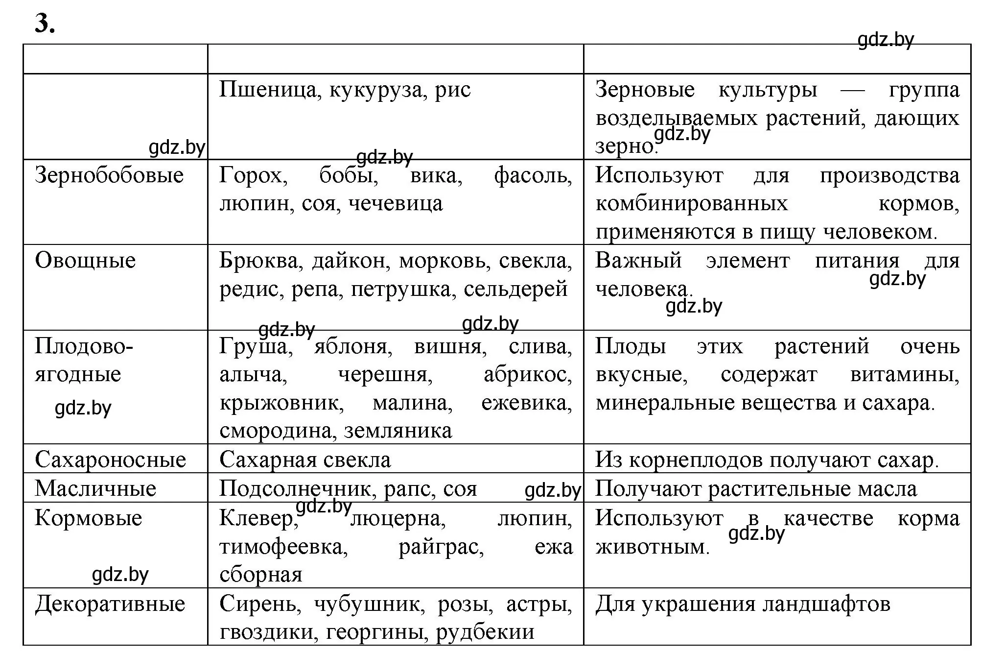 Решение номер 3 (страница 91) гдз по биологии 7 класс Лисов, рабочая тетрадь