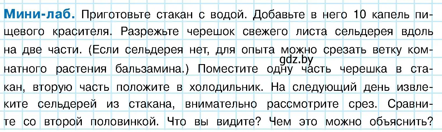 Условие  Мини-лаб (страница 142) гдз по биологии 7 класс Лисов, учебник
