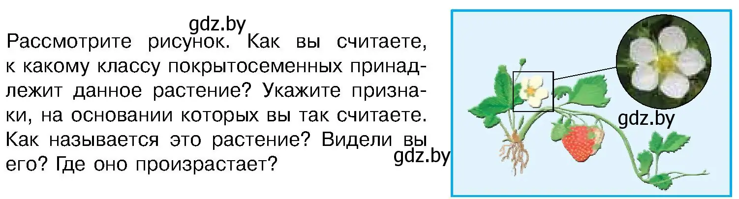 Условие  Задание (страница 209) гдз по биологии 7 класс Лисов, учебник