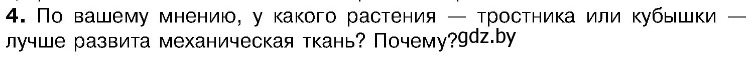 Условие номер 4 (страница 213) гдз по биологии 7 класс Лисов, учебник