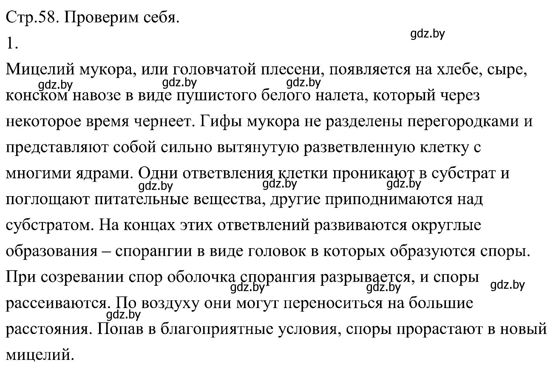 Решение номер 1 (страница 58) гдз по биологии 7 класс Лисов, учебник