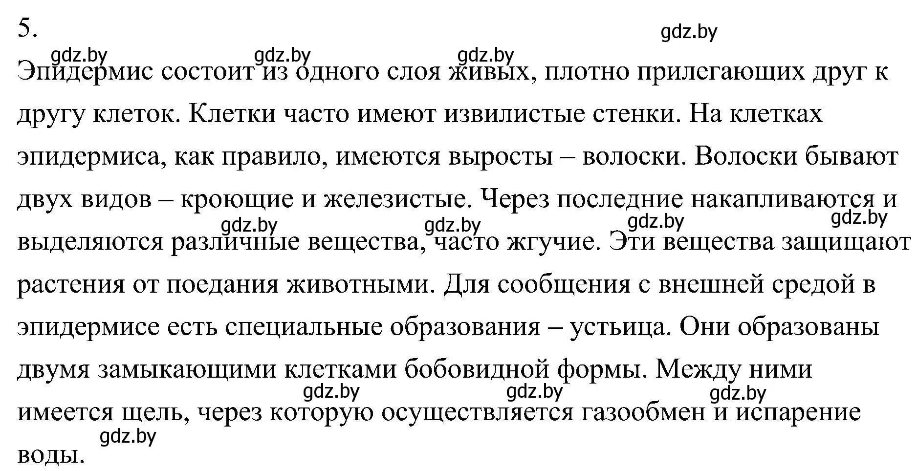 Решение номер 5 (страница 81) гдз по биологии 7 класс Лисов, учебник