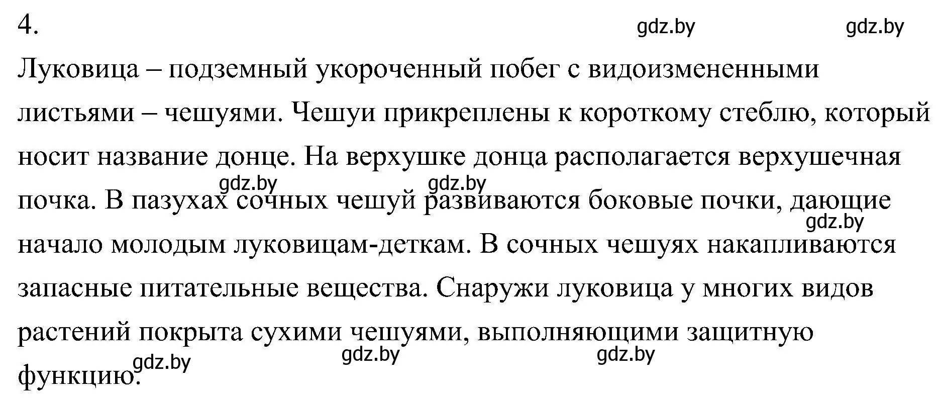 Решение номер 4 (страница 158) гдз по биологии 7 класс Лисов, учебник