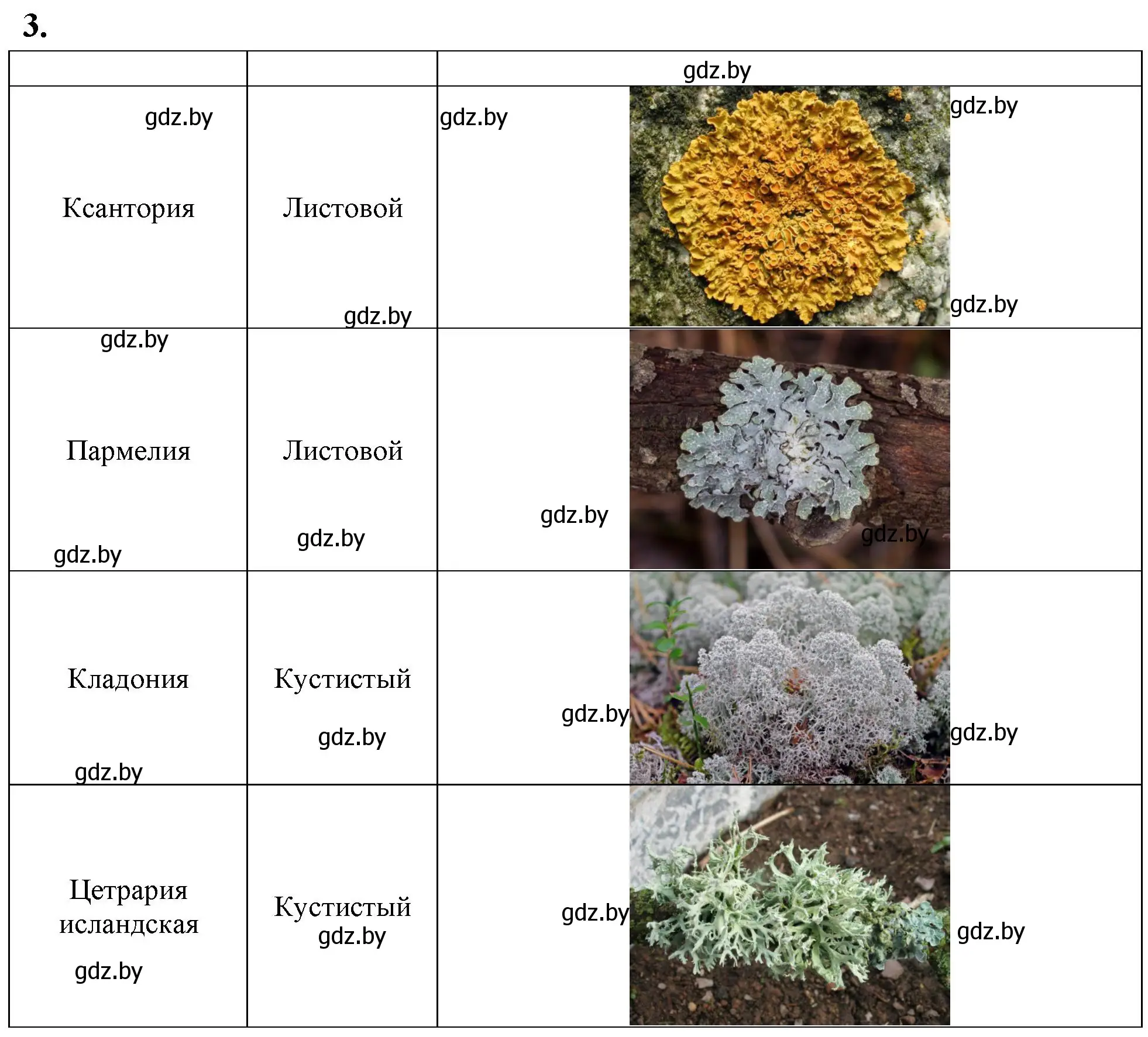 Решение номер 3 (страница 12) гдз по биологии 7 класс Рогожников, тетрадь для экскурсий, лабораторных и практических работ