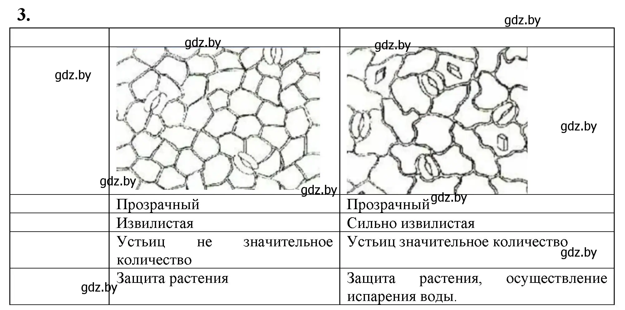 Решение номер 3 (страница 14) гдз по биологии 7 класс Рогожников, тетрадь для экскурсий, лабораторных и практических работ