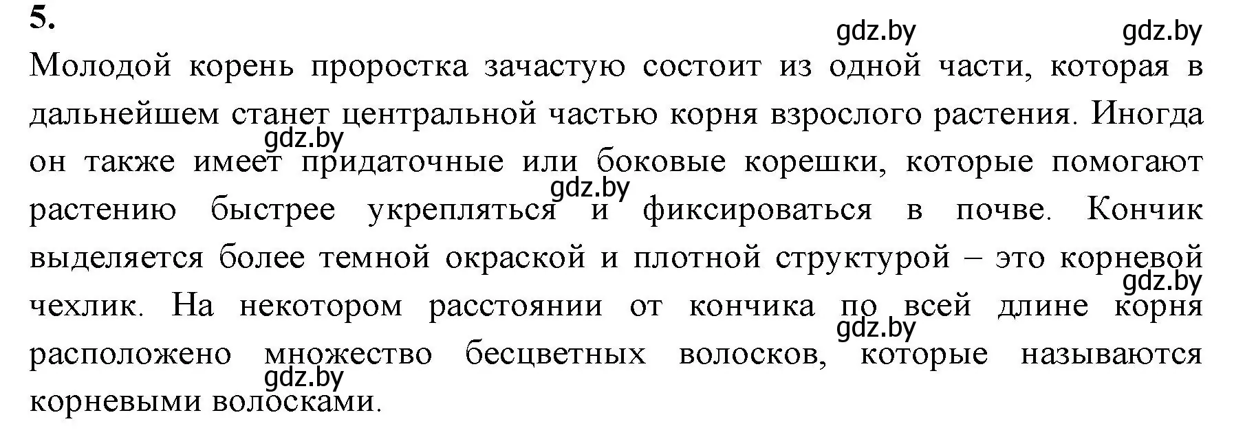 Решение номер 5 (страница 24) гдз по биологии 7 класс Рогожников, тетрадь для экскурсий, лабораторных и практических работ