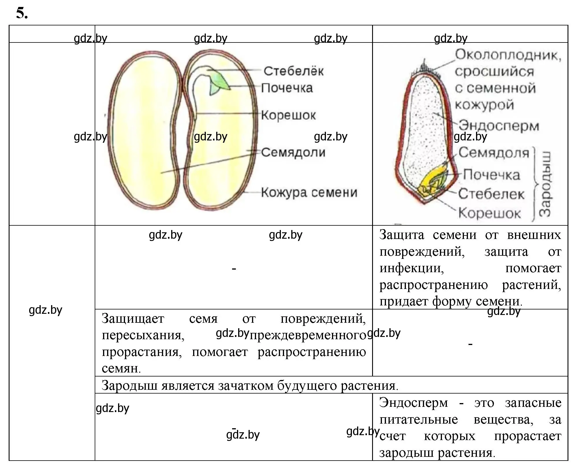 Решение номер 5 (страница 43) гдз по биологии 7 класс Рогожников, тетрадь для экскурсий, лабораторных и практических работ