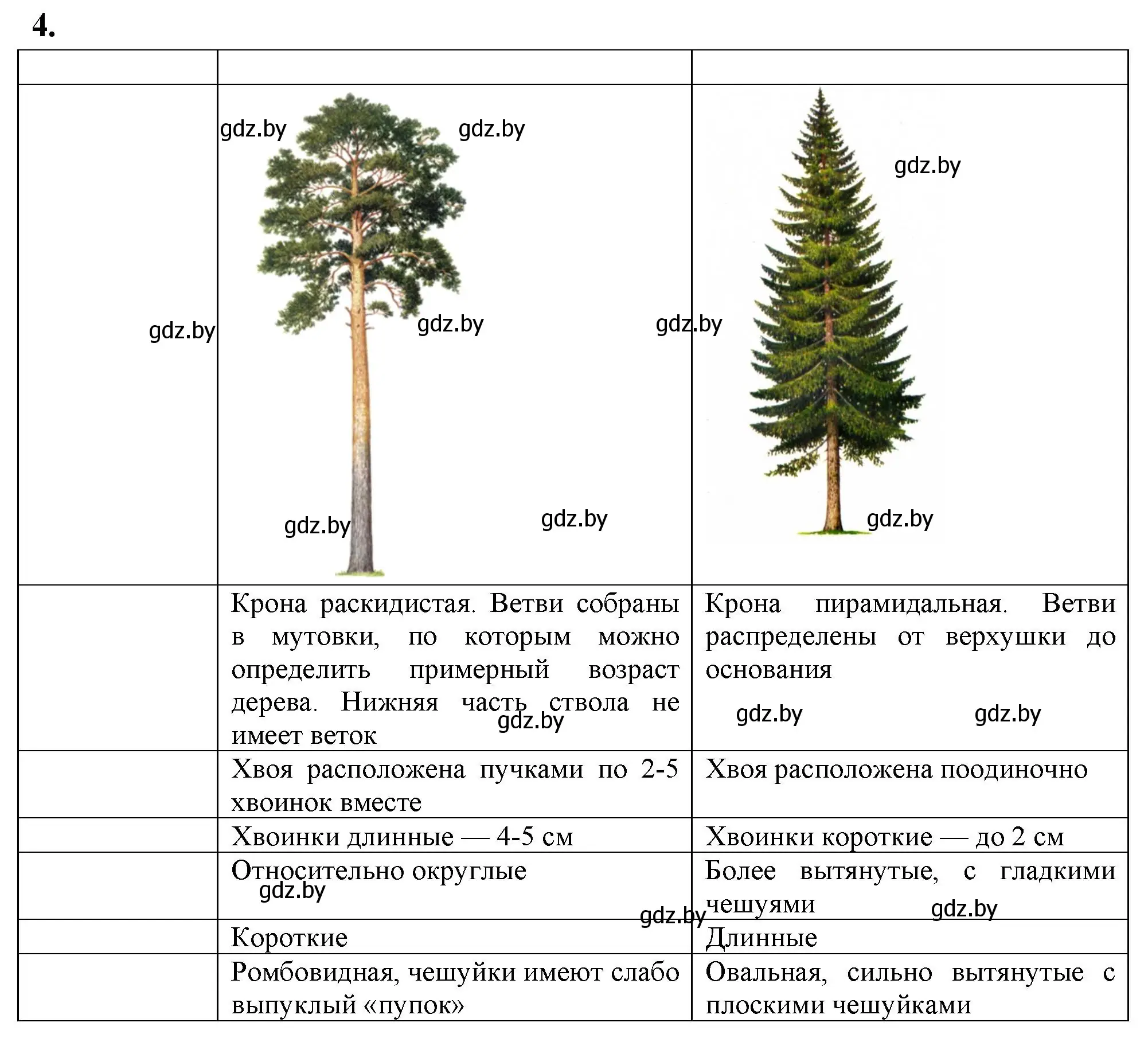 Решение номер 4 (страница 19) гдз по биологии 7 класс Рогожников, тетрадь для экскурсий, лабораторных и практических работ