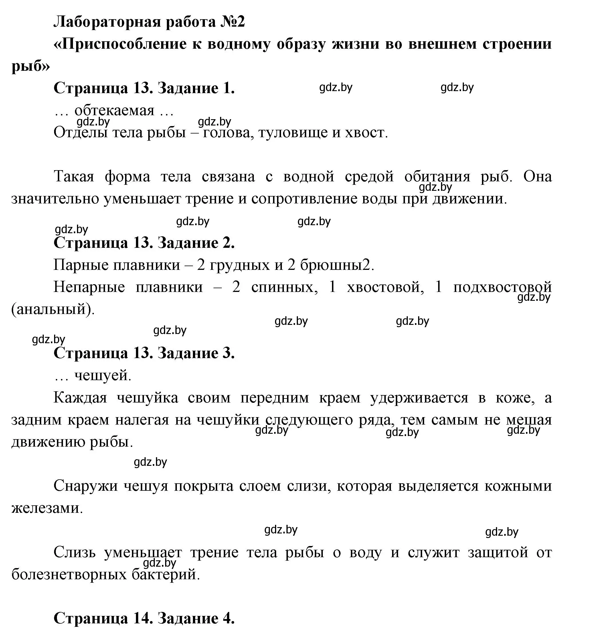 Решение  Лабораторная работа № 2 (страница 13) гдз по биологии 8 класс Бедарик, Бедарик, тетрадь для лабораторных и практических работ