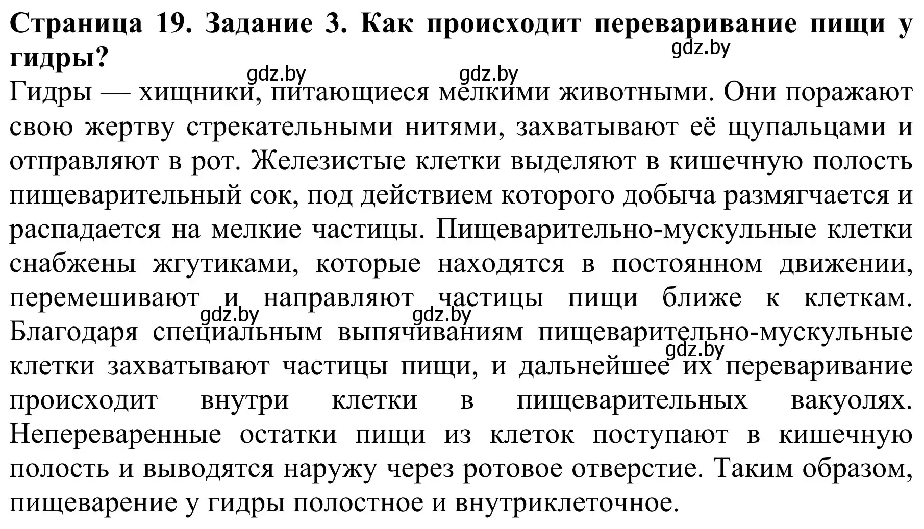 Решение номер 3 (страница 19) гдз по биологии 8 класс Бедарик, Бедарик, учебник