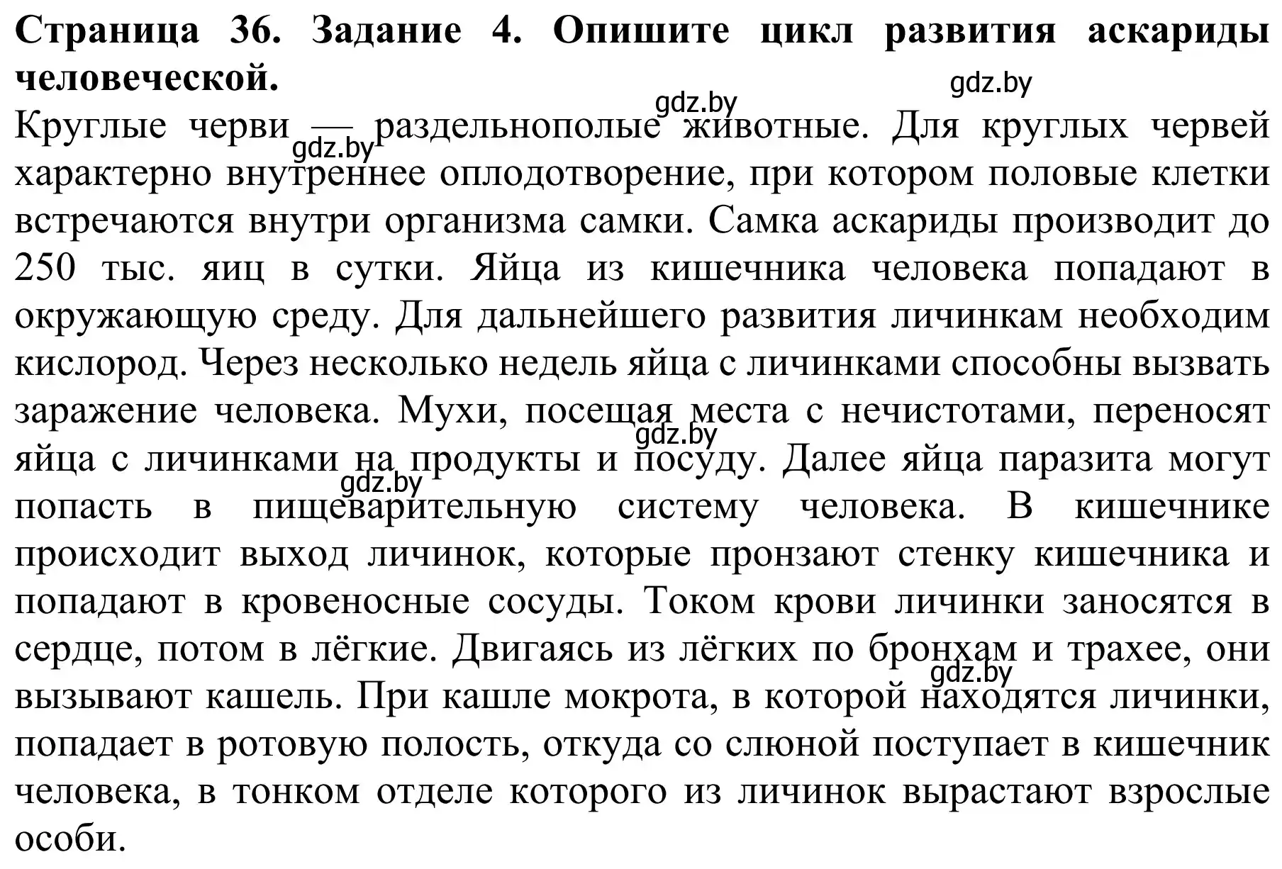 Решение номер 4 (страница 36) гдз по биологии 8 класс Бедарик, Бедарик, учебник