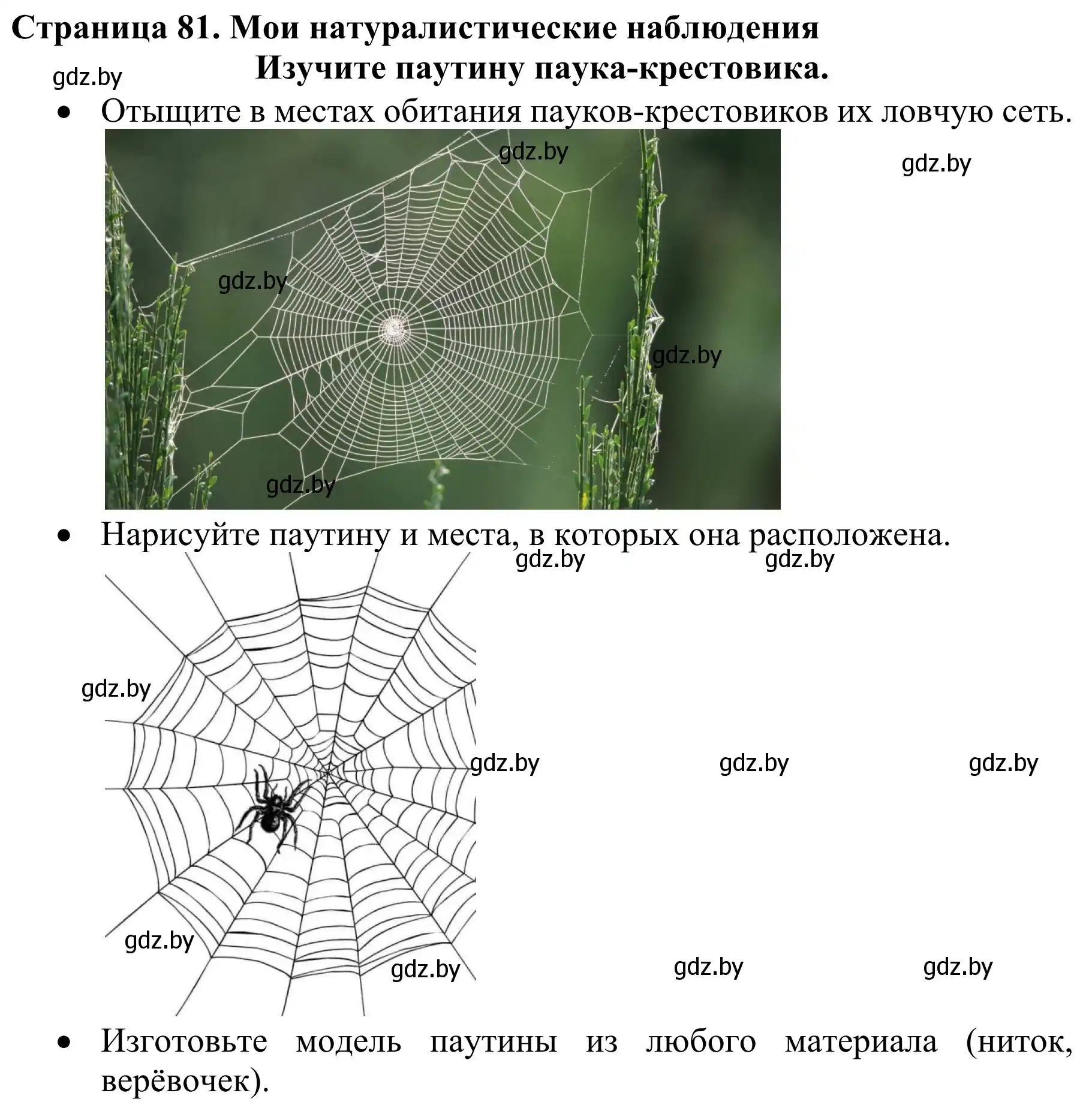 Решение  Мои натуралистические наблюдения (страница 81) гдз по биологии 8 класс Бедарик, Бедарик, учебник