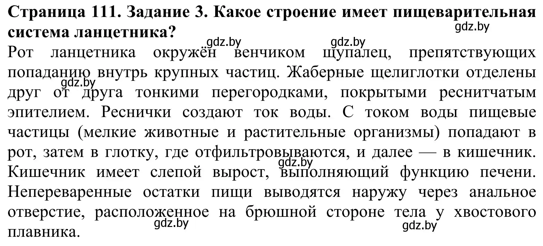 Решение номер 3 (страница 111) гдз по биологии 8 класс Бедарик, Бедарик, учебник
