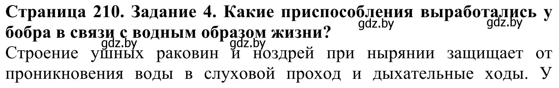 Решение номер 4 (страница 210) гдз по биологии 8 класс Бедарик, Бедарик, учебник