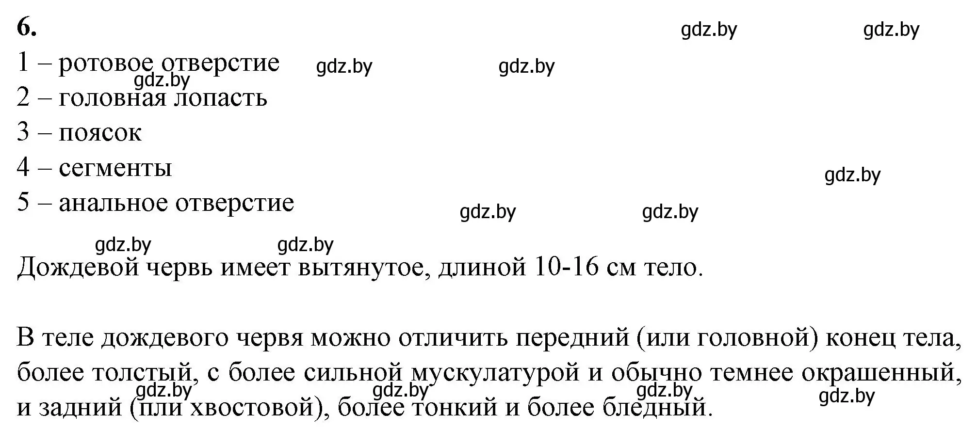 Решение номер 6 (страница 6) гдз по биологии 8 класс Лисов, тетрадь для лабораторных и практических работ