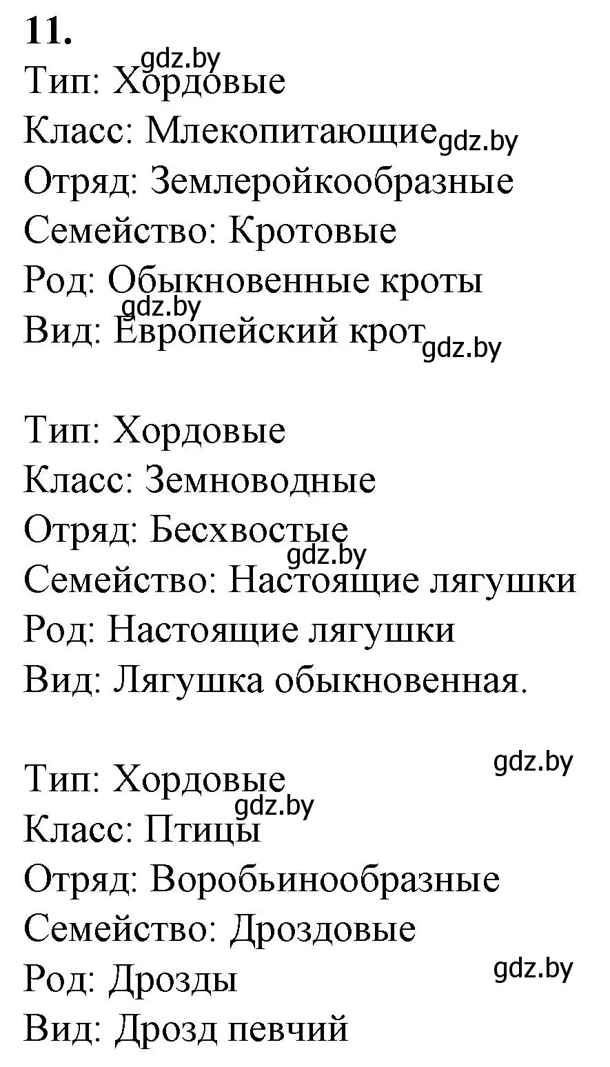 Решение номер 11 (страница 58) гдз по биологии 8 класс Лисов, тетрадь для лабораторных и практических работ