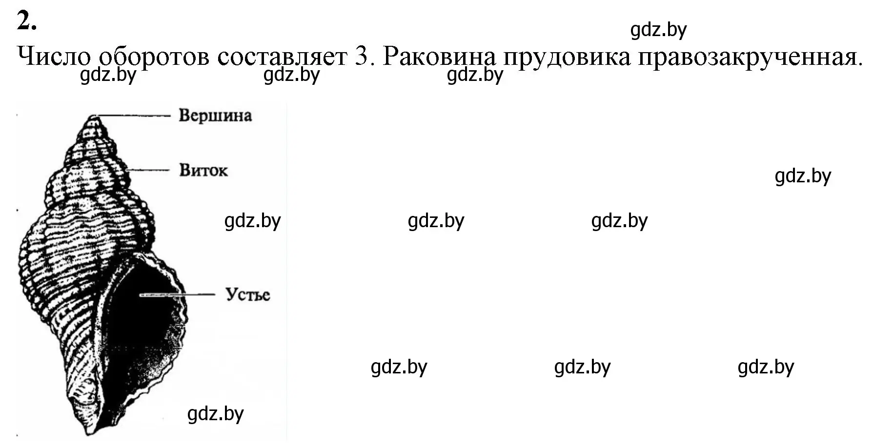 Решение номер 2 (страница 10) гдз по биологии 8 класс Лисов, тетрадь для лабораторных и практических работ