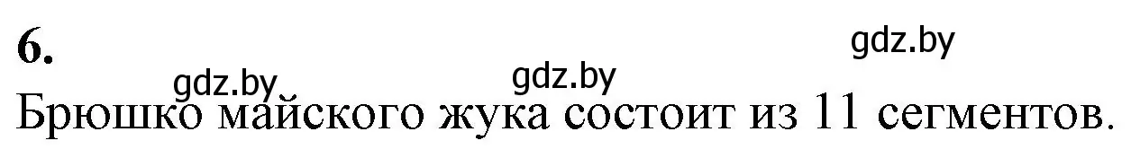 Решение номер 6 (страница 25) гдз по биологии 8 класс Лисов, тетрадь для лабораторных и практических работ