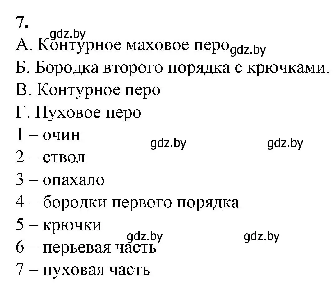 Решение номер 7 (страница 40) гдз по биологии 8 класс Лисов, тетрадь для лабораторных и практических работ