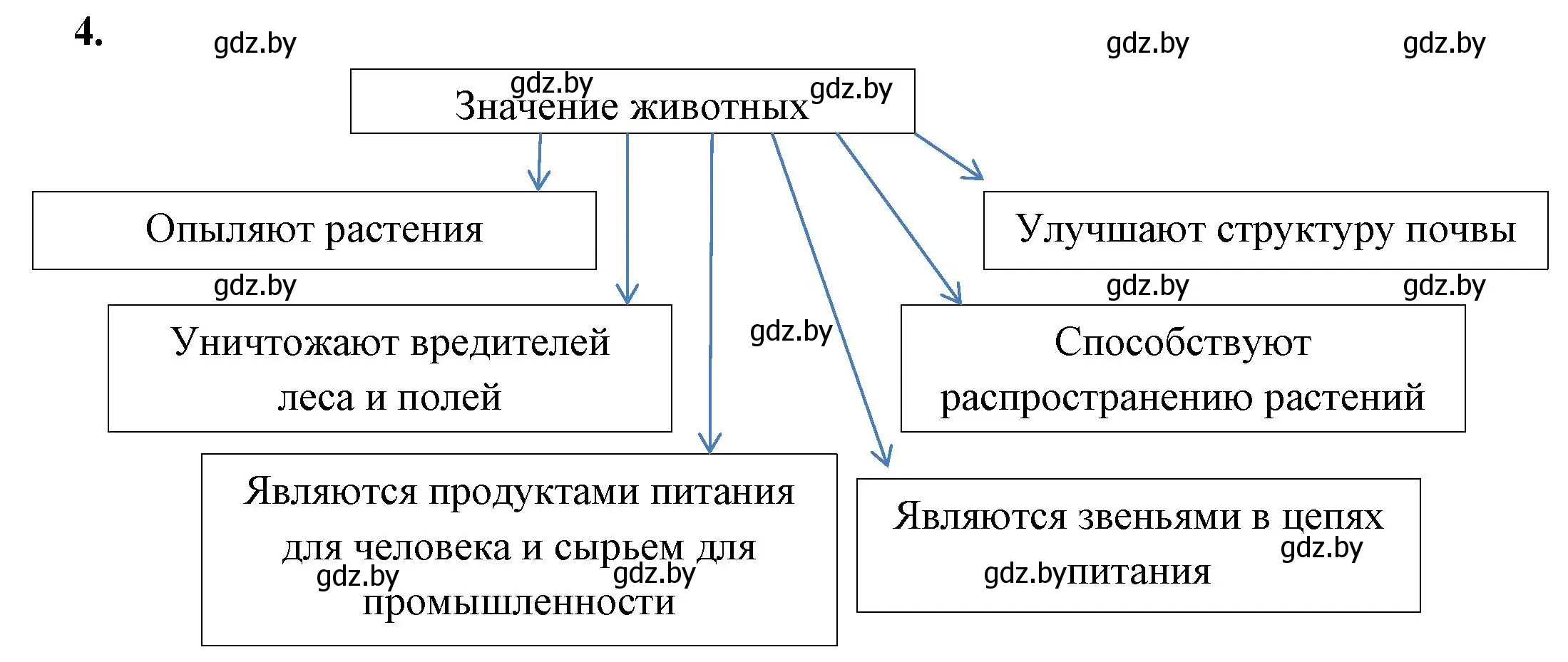 Решение номер 4 (страница 5) гдз по биологии 8 класс Лисов, рабочая тетрадь