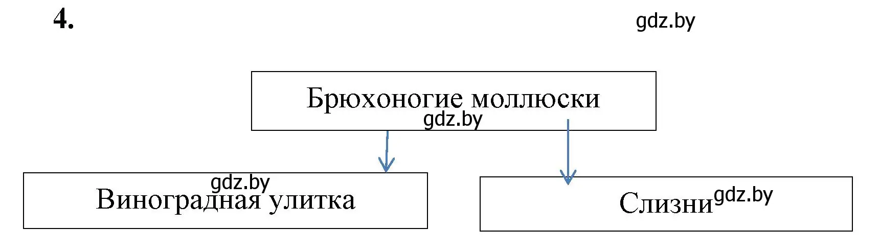 Решение номер 4 (страница 22) гдз по биологии 8 класс Лисов, рабочая тетрадь